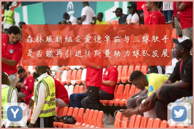 森林狼新组合爱德华兹与三球联手是否能再引进怀斯曼助力球队发展