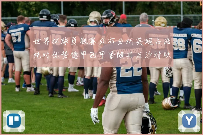 世界杯球员联赛分布分析英超占据绝对优势德甲西甲紧随其后沙特联排名第六